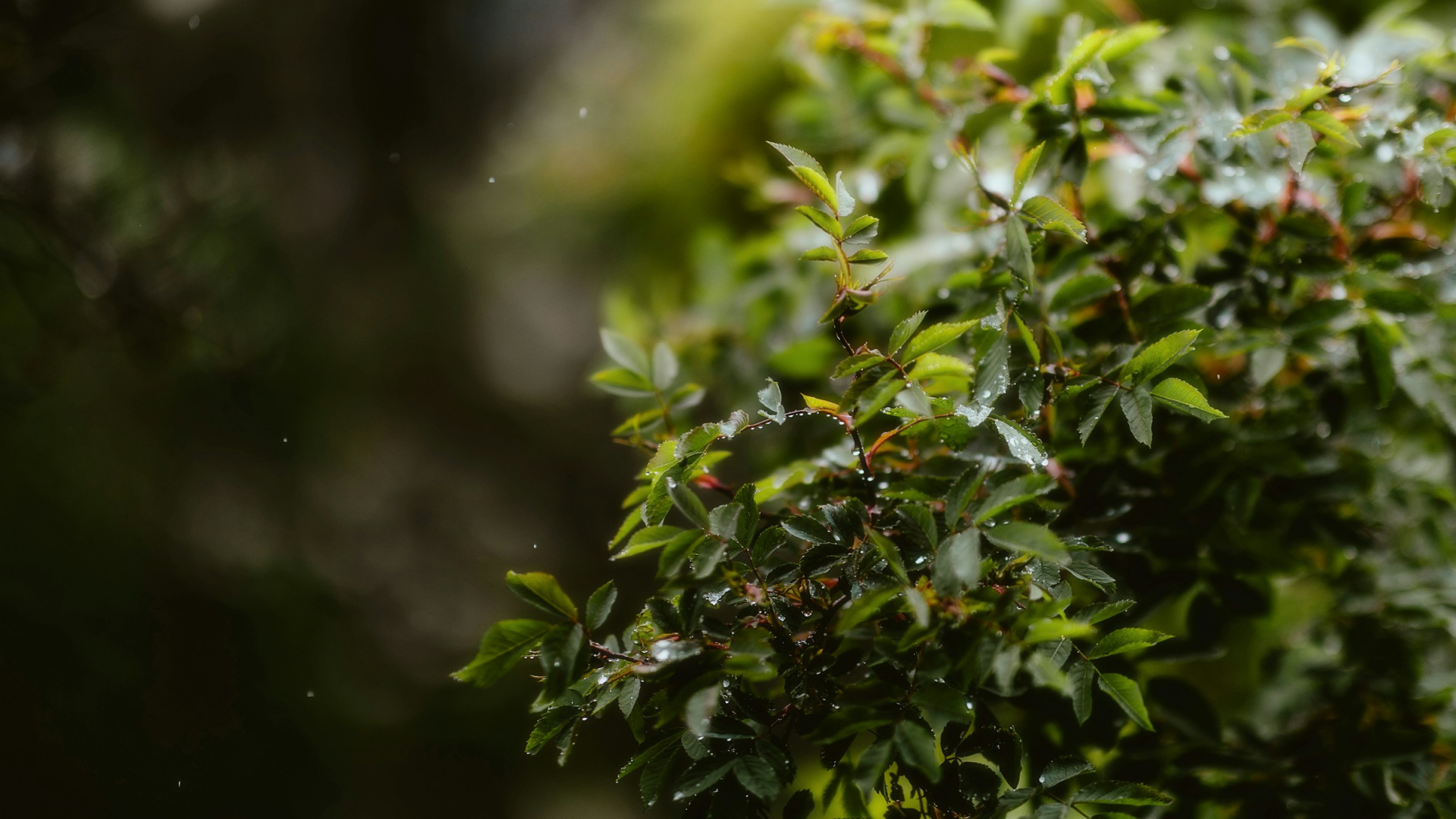 Слайдер СК Прометей — Строительная компания